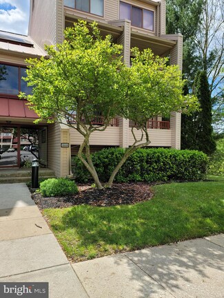 8008 Valley Manor Rd Unit 3B, Owings Mills, MD 21117