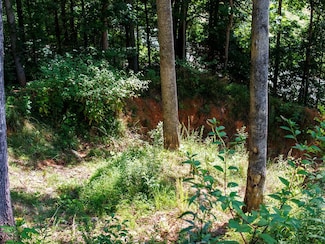 9999, Franklin, NC 28734