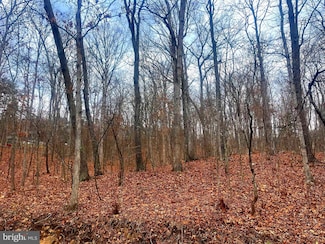 0 E Ganotown Rd, Valley, WV 25420