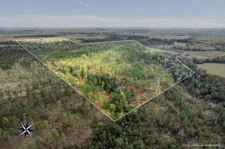 Parcel E 35 8 + - Acres Luther Carter Rd, Petal, MS 39465