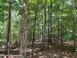 Lot 21 Fern Ridge Dr, Dadeville, AL 36853