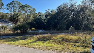 1023 Mimosa St, Lake Placid, FL 33852