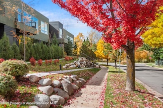 100 Evans Rd Unit 102, Basalt, CO 81621