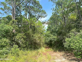 0 Duke St Unit 4088494, Pass Christian, MS 39571