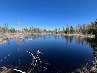 XX Heffelfinger Tr, Finland, MN 55614