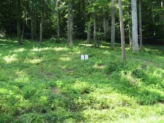 Lot #7 Short White Oak Rd, Flatwoods, KY 41139