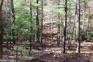 31.80 Acres Greenwalt Gap, Upper Tract, WV 26866