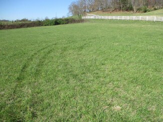 Lots 1-4 Double Springs Rd, Fall Branch, TN 37656