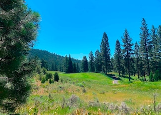300 Grizzly Ranch Rd, Beckwourth, CA 96122