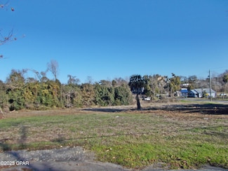 00 Mcpherson St, Marianna, FL 32448