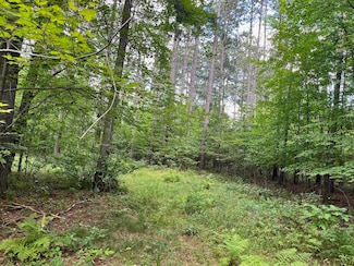80 Ac County Road G, Hancock, WI 54943
