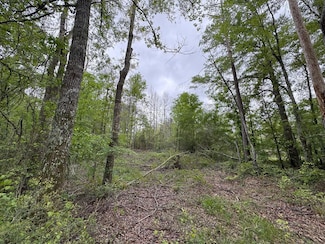 0 Light Plant Rd, Monticello, MS 39654
