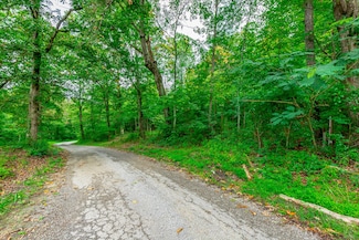 1054 Myers Hill Rd, Tracy City, TN 37387