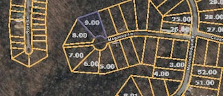 000 Magnolia Ln, Holladay, TN 38341