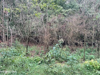 Lot 30 Ridge Dr, Kingston, TN 37763