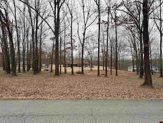 Lot 46 Aspen Dr, Mountain Home, AR 72653