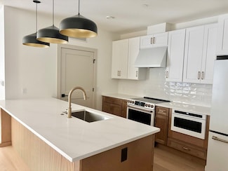 1025 Massachusetts Ave Unit 204, Arlington, MA 02476