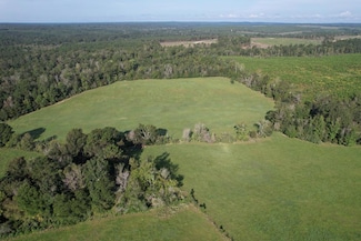 2057 Cr 1095, Wiergate, TX 75977