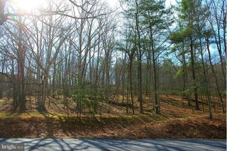 6657 Dillons Run Rd, Capon Bridge, WV 26711