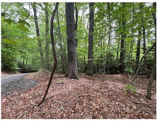 00 Old Hollow Trail, Fancy Gap, VA 24328