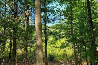 Lot 2 810th St, Sand Creek, WI 54765