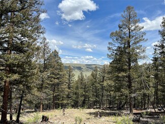 0 Middle Fork Vista Unit 516 REC2235935, Fairplay, CO 80440