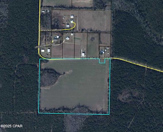 0 Matthew Wood Rd, Blountstown, FL 32424