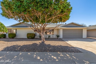 9827 W Lindgren Ave, Sun City, AZ 85373