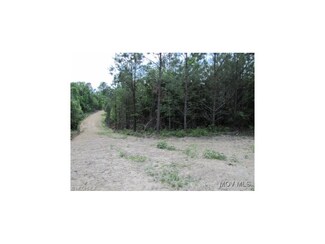 00 Camp Barbe Rd, Elizabeth, WV 26143