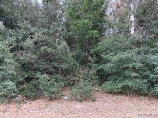 2856 W Manitoba Place, Citrus Springs, FL 34433