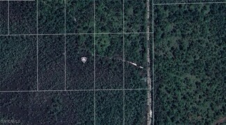 612801130190 Inaccesible Trail, de Land, FL 32724