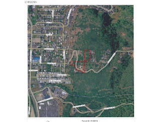 0 Ryan Heights Ln, Roseburg, OR 97470