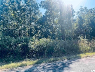 9424 Merton Bowe Rd, Mer Rouge, LA 71261