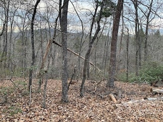 301 Otter Unit 301, Lake Lure, NC 28746