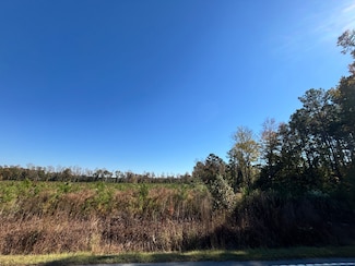 Francis Marion Rd, Florence, SC 29583