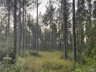 LOT 3 Wallace Lake Rd, Pace, FL 32570