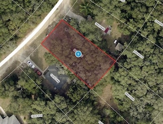 0 Palm St Unit MFROM704448, Lady Lake, FL 32159