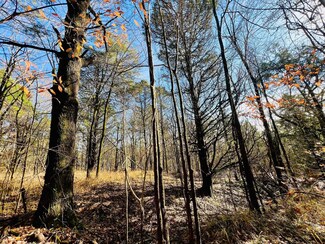 0 Miracle Temple Rd, Byhalia, MS 38611