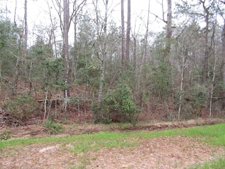 0 Acorn Dr Unit 46717957, Point Blank, TX 77359