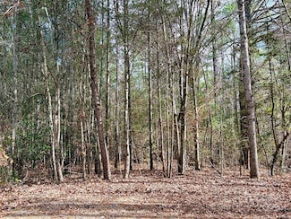 99999 Heather Ln, Fairview, NC 28730