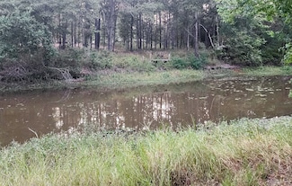 200 Laurel Rd, Onalaska, TX 77360