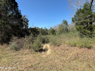 0 Conner Dr Unit 4106891, Perkinston, MS 39573
