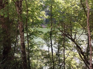 00 Webbs Camp Rd, Walling, TN 38587