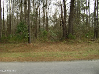 348 Country Estate, Columbia, NC 27925