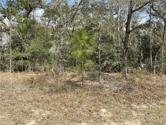 11029 N Tigerwood Terrace, Citrus Springs, FL 34434