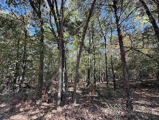 000 Vz County Road 1412, van, TX 75790