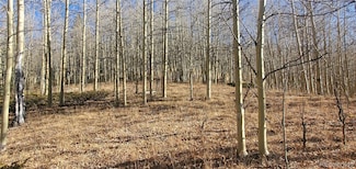 Lot's 6414 & 6415 Bronfman Rd Unit 6414 & 6415, Fort Garland, CO 81133