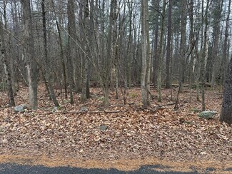Lot 2 Rhodes Rd, Princeton, MA 01541