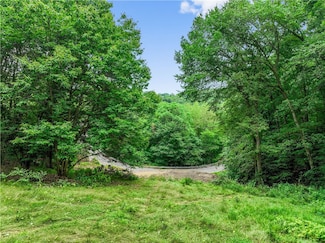 420 Braun Rd, Beaver Falls, PA 15010