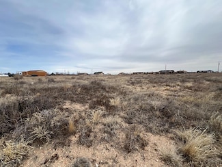 493 E Scandia Dr, Pueblo West, CO 81007